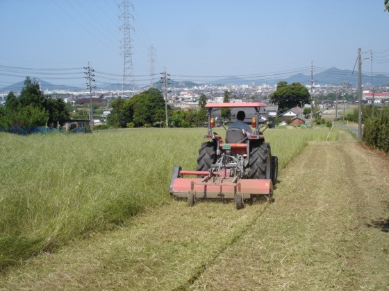 休耕田　草刈　作業中