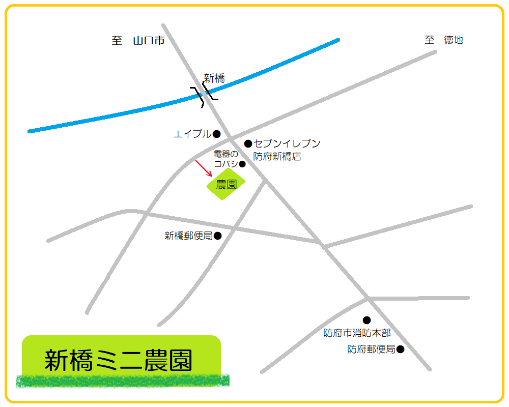 新橋ミニ農園